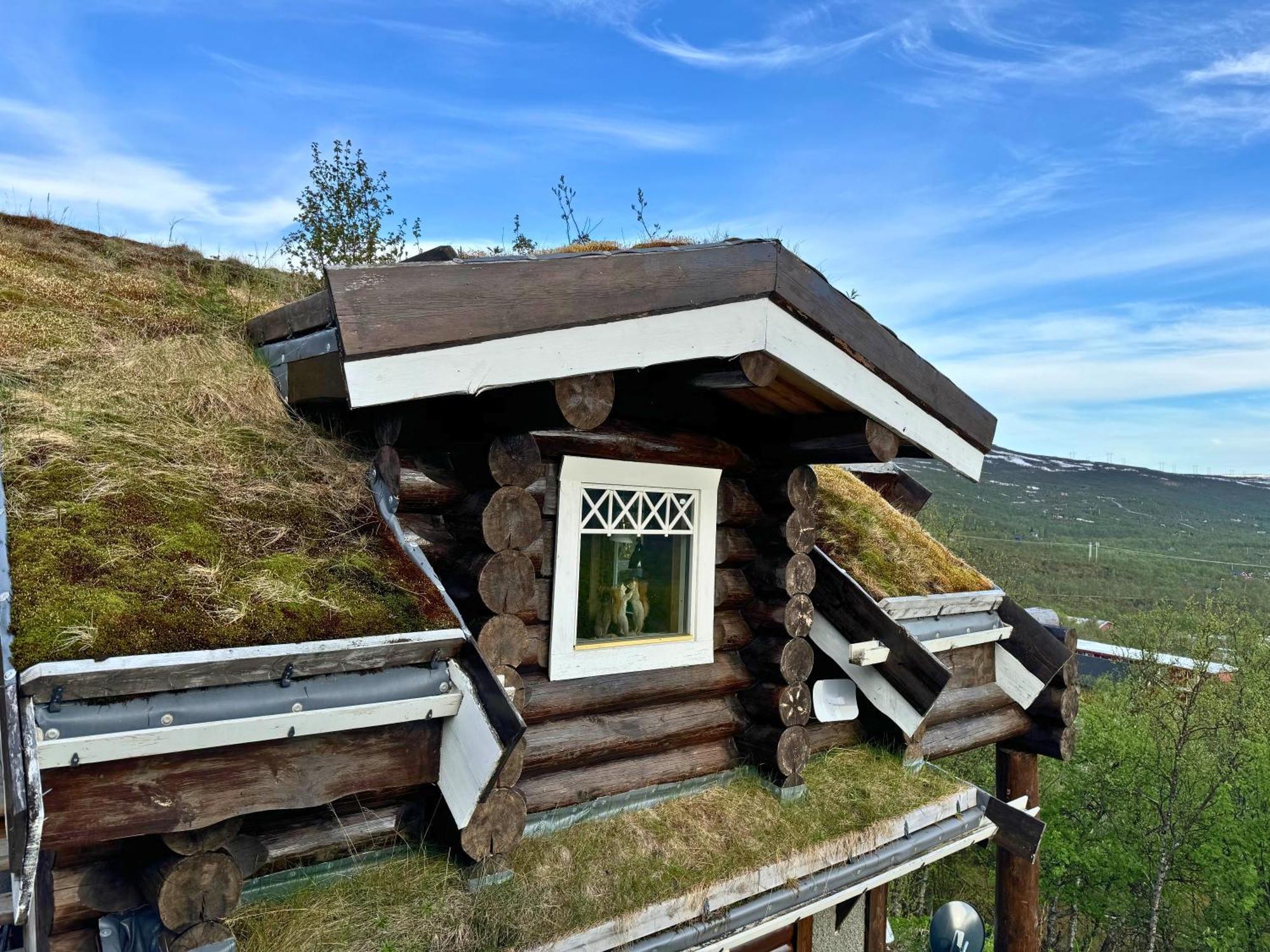 Unique Arctic Timber Cabin Skaidi Екстериор снимка